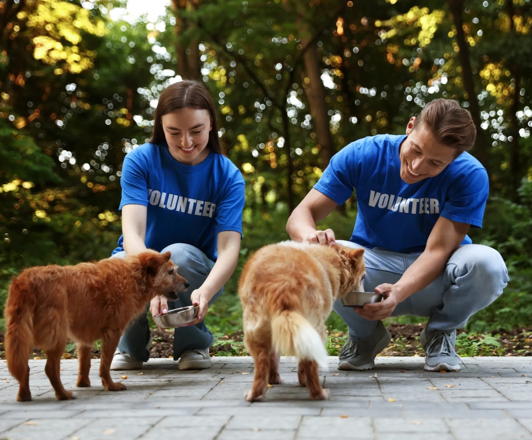 Volunteers working together for the community